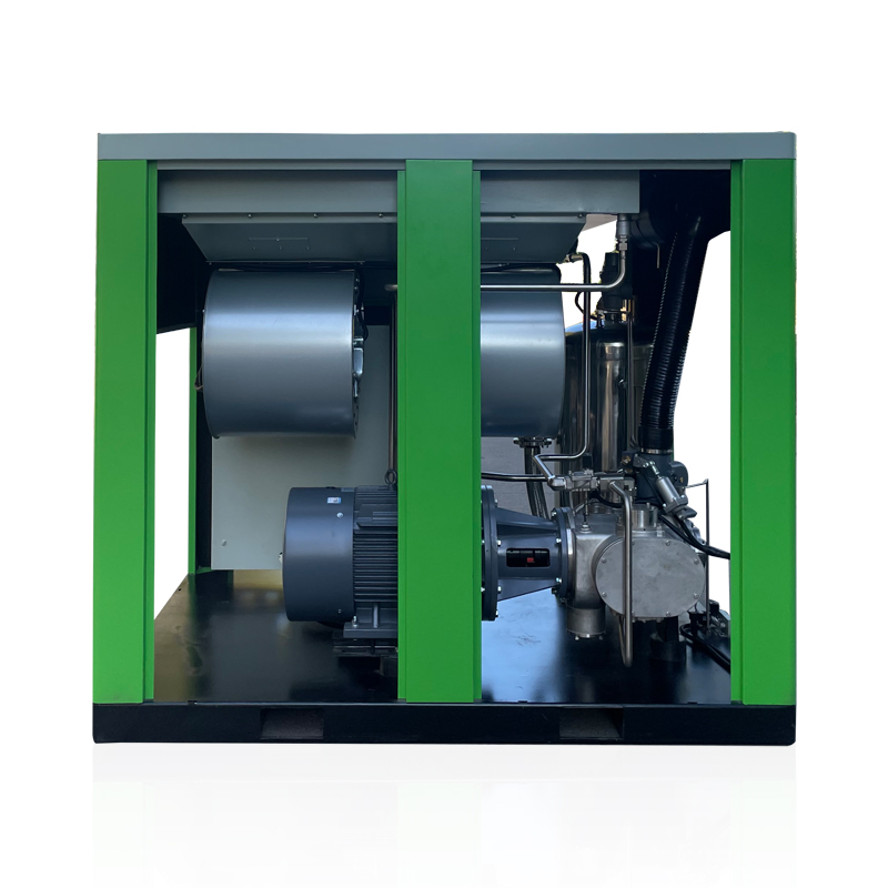 Heavy Duty 100HP 75kw Stationary Oil Free Air Compressor Durable Industrial Screw Compressor