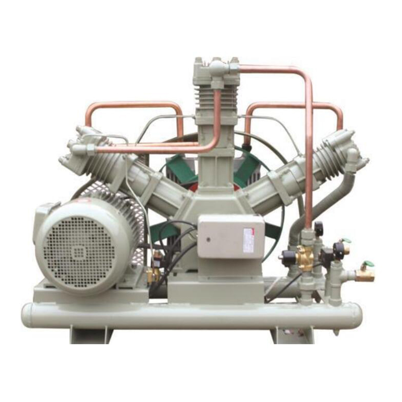 18.5kw 5 Bar to 25 Bar Oil-Free Oxygen Booster Compressors for Chemical